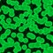 Green plant cells chlorophyll pattern seamless