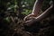 Green plant in a child hands Life in your hands