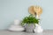 Green plant and different kitchenware on table near wall. Modern interior design