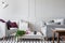 Green plant, glass vases and doted coffee mug on the coffee table in scandinavian living room with bright grey wall with molding a