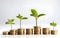 green plant growing on golden coins stacks on white background