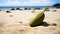 Green Plant Growing Out Of Orange Beach Sand Ball