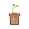 Green plant growing from seed of a bean in a pot with ground soil, stage of growth, pot in a cross section vector