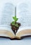 Green plant growing in soil on top of an open Holy Bible Book, Christian growth concept, vertical shot