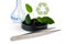 Green plant grows in the ground and in laboratory glassware