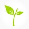 Green plant icon