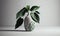 Green Plant Leave In a Ceramic Vase on White Table, generative AI