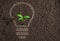 Green plant in light bulb silhouette on soil