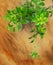 green plant over wooden background, gardeing or farming concept, eco, new life or season