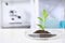 Green plant in Petri dish on table in laboratory