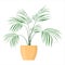 Green plant in the pot vector isolated. Gardening hobby