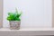 Green plant in small modern terracotta pot on white wood shelf isolated on white wall background