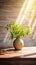 A green plant in a vase on a rustic wooden table