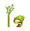 Green Plant in Vase and Small Winding Tree Vector