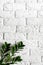 Green plant on white brick wall modern interior design vertical background