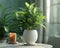 Green plant white ceramic pot wooden table sunlight candle window green walls