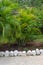 Green plant with white stone boundary