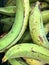 Green plantain from Ecuador