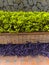 Green planter in front of stone wall and brick pot. Colombian Architecture