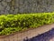 Green planter in front of stone wall and brick pot. Colombian Architecture