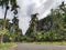 Green plants adorn the road in the hilly area