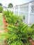 Green Plants Along White Fence