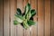 Green plants in artistic clay pots on wooden table