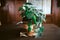 Green plants in artistic clay pots on wooden table