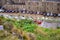 The green plants and in background of castle of dover from outside and some vehicles