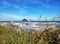 Green plants and beach rescue tower