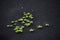 Green plants on black volcanic sand in Iceland