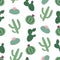 green plants cactus peyote seamless pattern on a white background vector