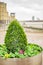 The green plants at canary wharf london which has been designed