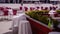 Green plants and empty tables in cafeteria on city square