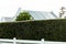 Green plants fence with solar panels on rooftop of houses in background against clear sky