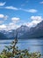 Green plants in front of scenic mountain and lake view