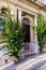 green plants in the interior of an old house on the island of Gozo, Malta