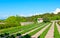 The green plants of lavender in Van Gogh field, Saint-Paul Asylum monastery, Saint-Remy-de-Provence, France