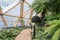 Green plants at modern crossrail place roof garden in Canary Wharf