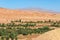 Green plants in morocco dades valley