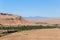 Green plants in morocco dades valley