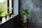 Green plants in pot decorating a room with loft wooden interior and big window.