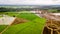 Green plants rice field top view from flying Drone