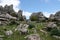 Green plants between rocks of El Torcal de Antequera in Andalusia, Spain