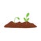 Green plants in the soil. Farm planting process with sprouts in cartoon style