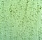 Green plaster wall background
