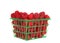 Green plastic basket full with freshly picked raspberries, isolated