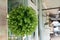 Green plastic bouquet flowers hanging decoration