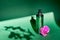 Green plastic cosmetic bottle with pink magenta orchid flower and shadows on green background