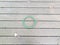 Green plastic ring on a brown wood deck with leaves